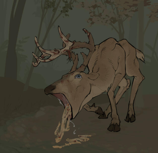 CWD deer CWD deer